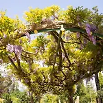 Rural Solar Arcadas Ponte de Lima