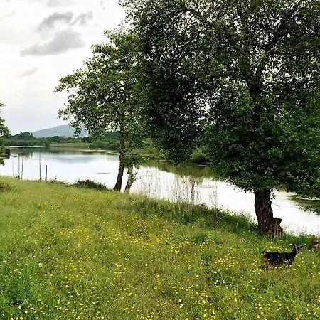 מלון Rural Solar Arcadas 3*