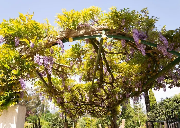 Rural Solar Arcadas Понте-де-Лима